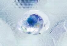 data identifiers and compilation